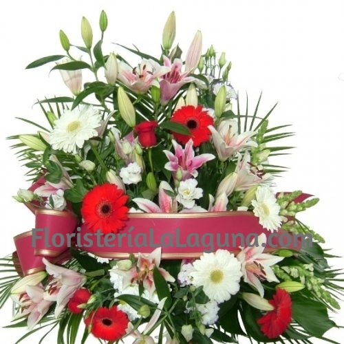 Centro Funerario Rojo Variado